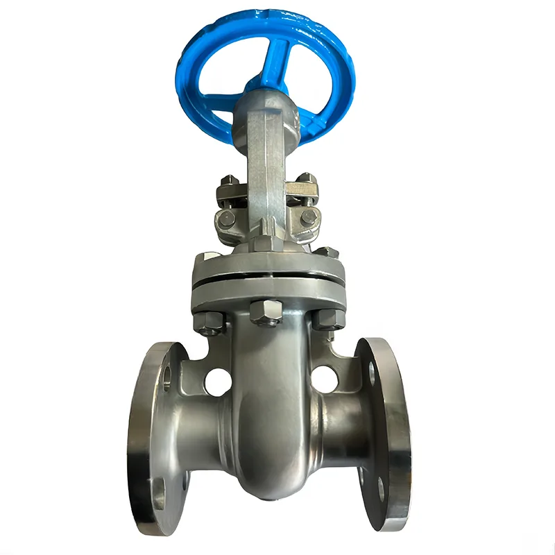 اسٽينلیس سٹیل API Flanged گيٽ والو